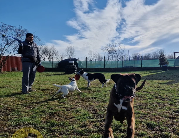 Dobrodošli na naš Salaš za udobnost Vašeg ljubimca!