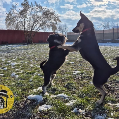 IMG-e34bc806eb5dc904f78c245722970de3-V_wm