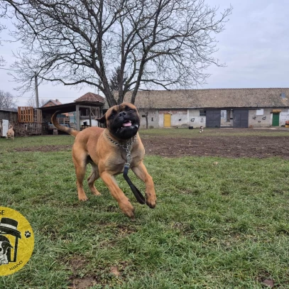 IMG-cc93ca021eaed47338a8c94e6c53ad5b-V_wm