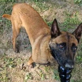 VideoCapture_20230730-103346_wm