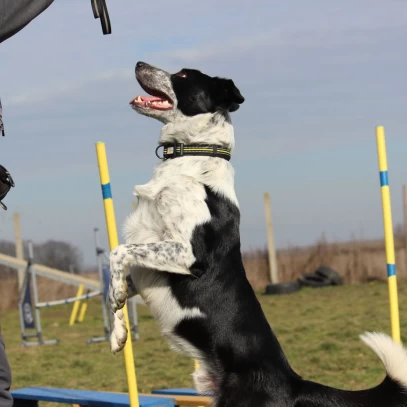 IMG-b4696e56838ffc9b85f1d83d54a00199-V